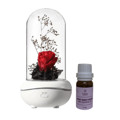 Uzen Essentials Sweet-Sweet Dreams with Everlastingl Flower Humidifier